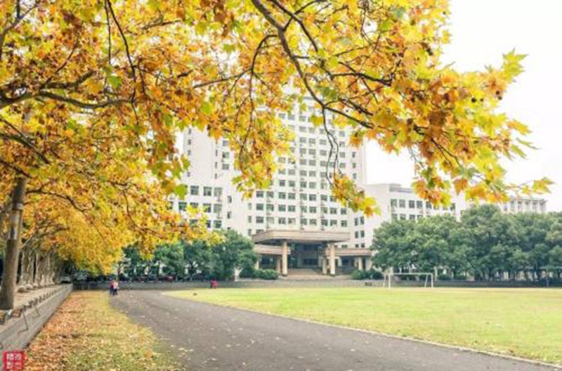 中南大学校园风景1