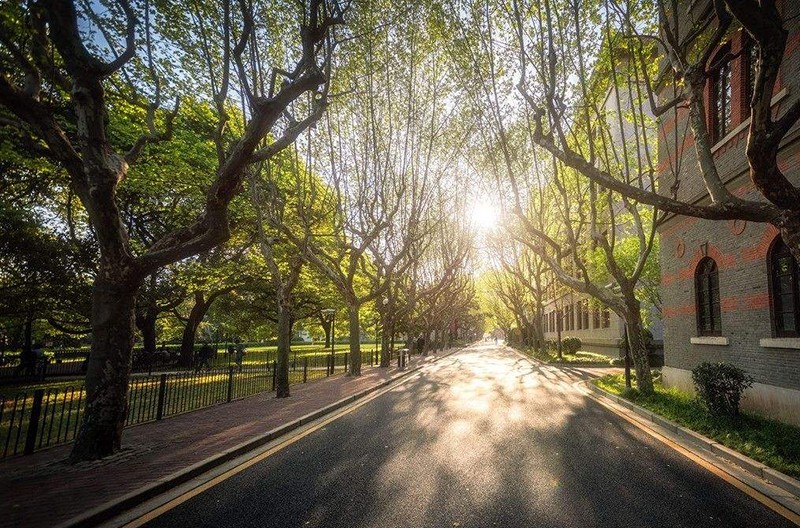 上海交通大学校园风采5