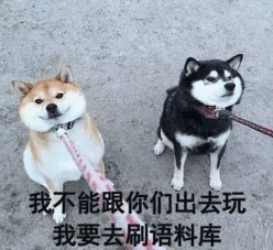 这个冬天，杭州朗阁用高分温暖你