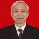 金本泉