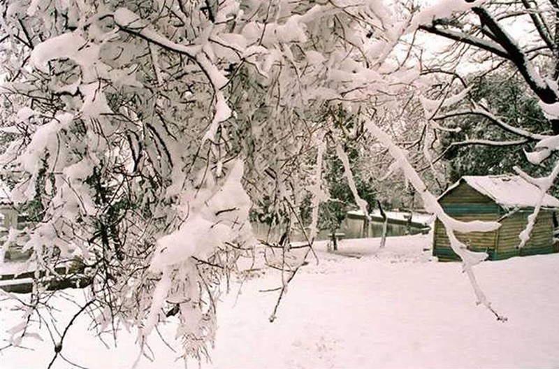 合肥工业大学雪景