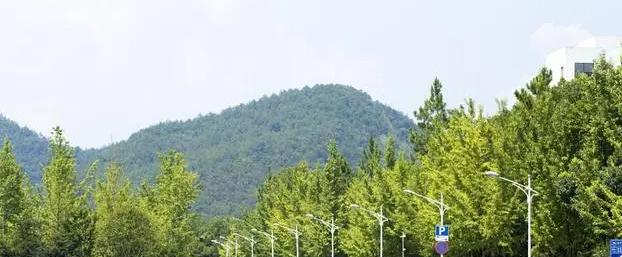 2023浙江农林大学最新排名多少（近三年排名）