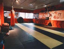 青岛鸿鹰武术馆