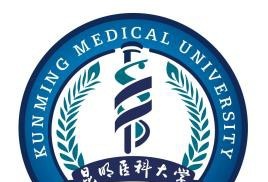 昆明医科大学