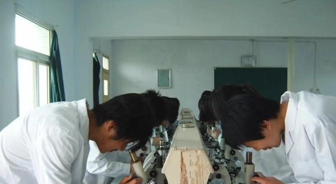 西安育才医科职业学校