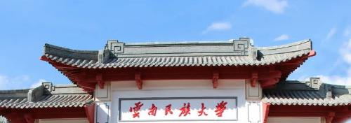 云南民族大学是不是985大学?