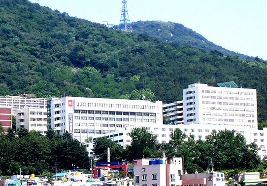 东义科学大学
