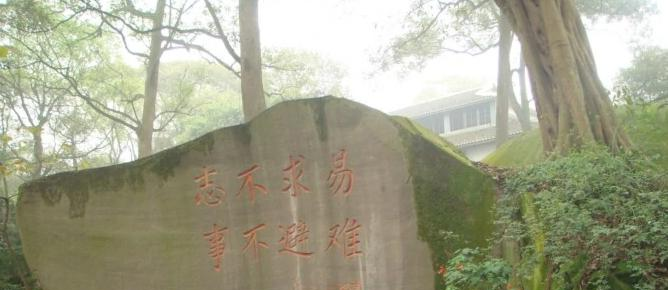 截图_20211116125530