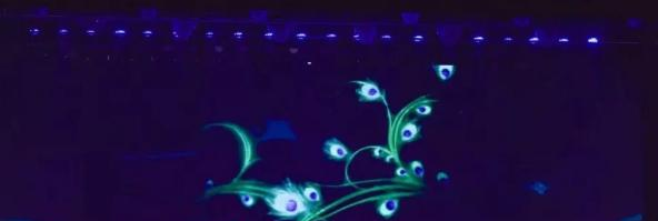 莲花职业技术学校2020年有哪些专业