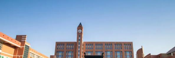 天津泰达国际学校2022年入学考试