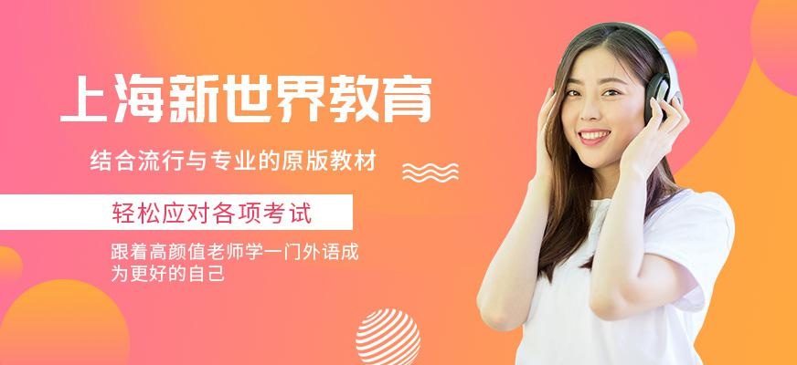 上海新世界教育