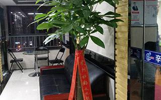 云南卡耐基口才训练营