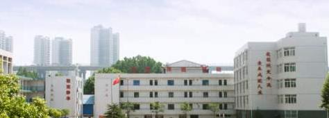 武汉电子信息职业技术学校