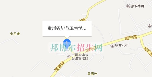 贵州毕节卫生学校