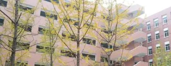 复兴高级中学国际部