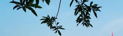河北航空管理中等专业学校