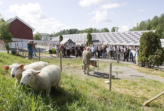 挪威生命科学大学