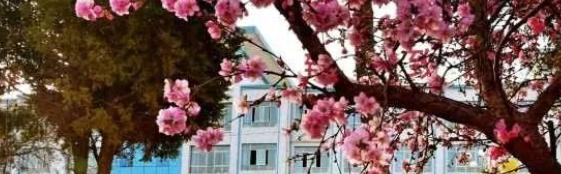 会宁县中学2023年招生代码 