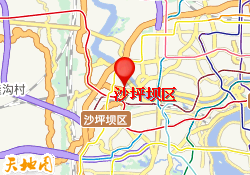 沙坪坝区