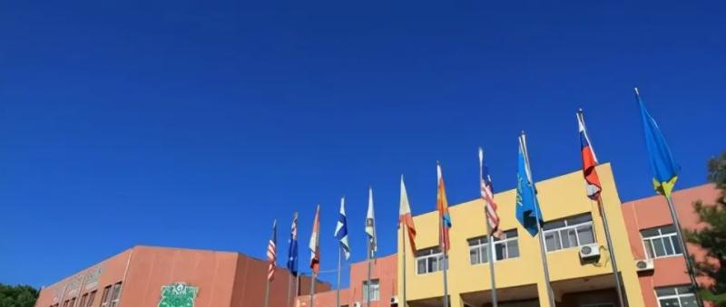 北京私立树人瑞贝学校小学部2023年课程体系
