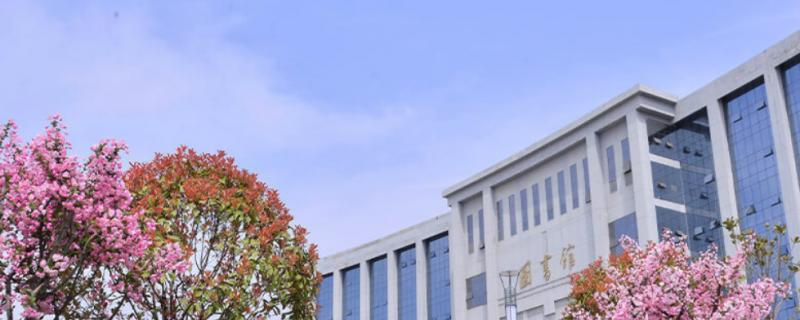 平顶山学院是几本？是985和211吗？