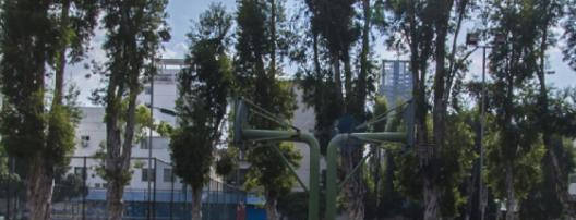 广西幼儿师范高等专科学校2020年有哪些专业