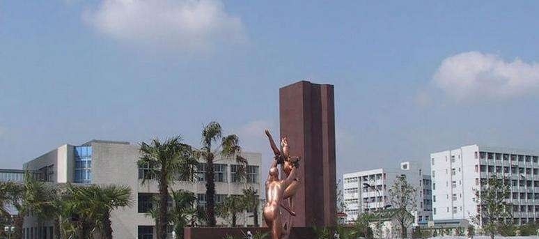 南通职业大学2019年单招录取分数线