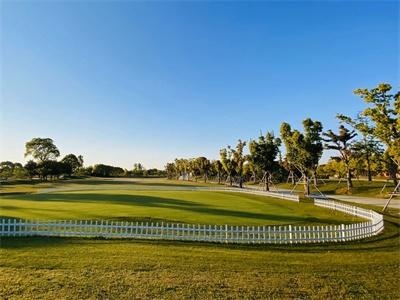 剑桥文理与剑桥艺术学校