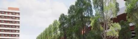 廣雅中學(xué)博雅國際班怎么樣