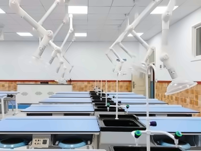 武汉崇文高级中学国际部