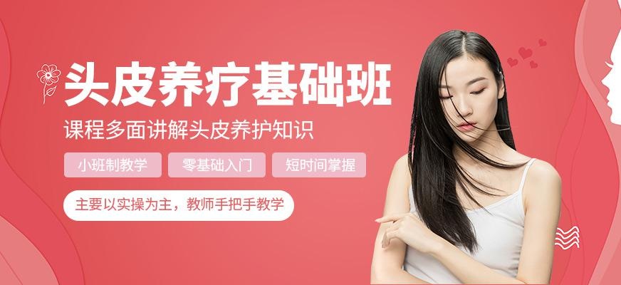 尚艺美容美发培训学校头皮头发养疗基础班