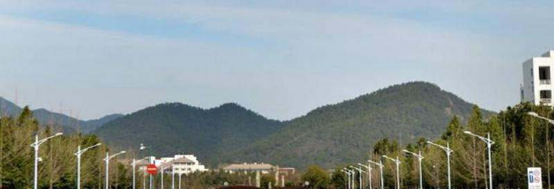 浙江农林大学艺术类专业有哪些？（艺术类专业）