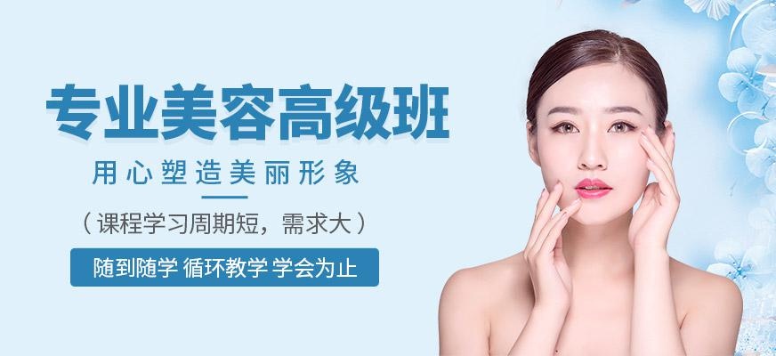 专业美容高级班