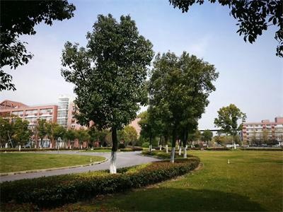 白玉木槿国际教育学校