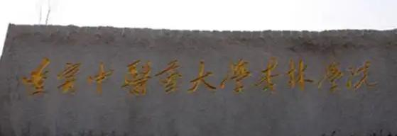 辽宁中医药大学杏林学院