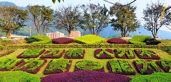 重庆机电职业技术大学地址在哪里