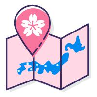 课程丰富