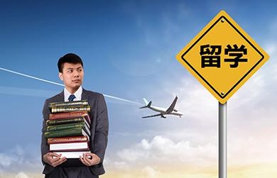 教学优势就是加分点