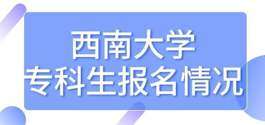 西南大学在职研究生允许专科应届生报名吗