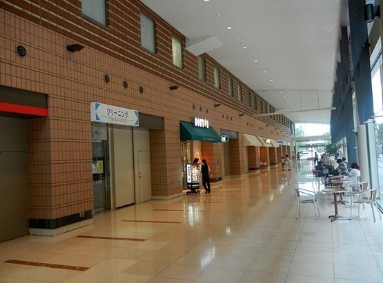 帝京大学