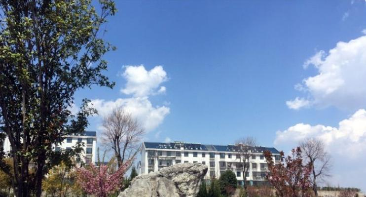 襄阳职业技术学院2019年单招录取分数线