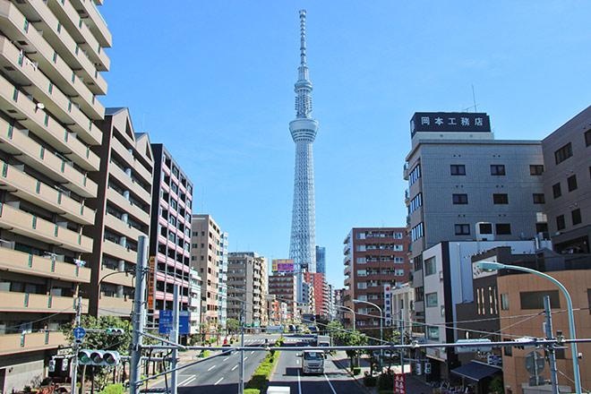 日本就业