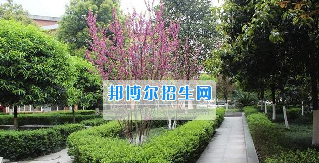 眉山科学技术学校2017年招生简章
