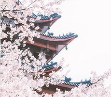 助你跨过考试难关