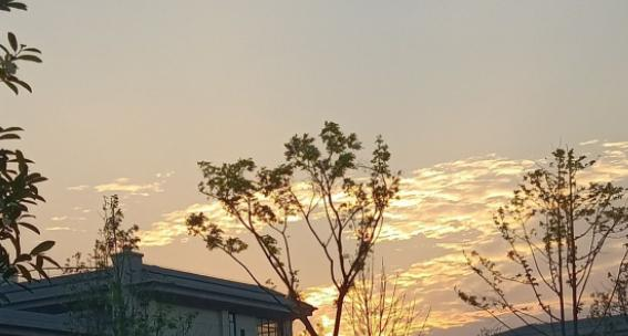 绥阳高级职业技术学校