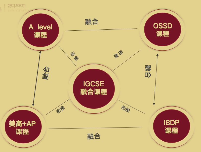 上海美达菲双语高级中学