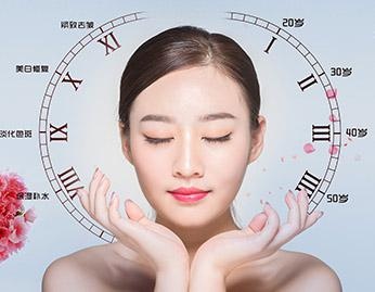 教学体系