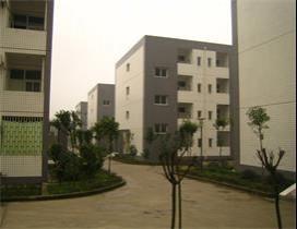 重庆中软卓越教育