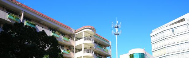 东莞经济贸易学校