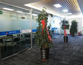 大厅